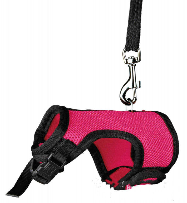 Why Your Small Pet Deserves the Best - The Pet Small Size Leash Walking Control Lead