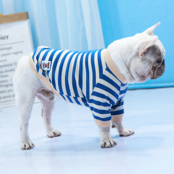 Dress Your Pet in Style This Fall and Winter!