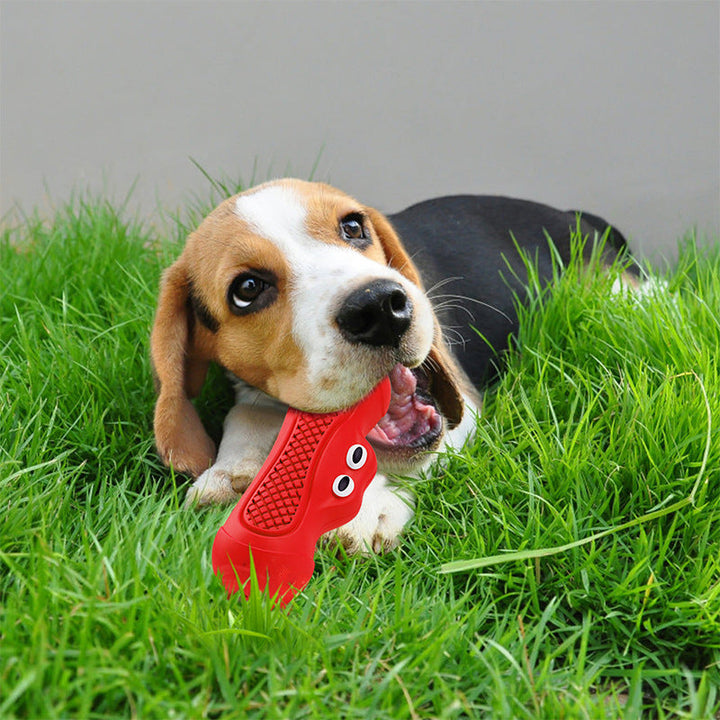Enhance Your Pet's Playtime with the Vocal Rugby Pet Toy