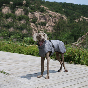 Keep Your Furry Friend Warm with Our Pet Winter Outdoor Shell Ski Jacket