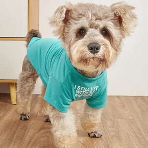 Dress Your Pet in Style: The Ultimate Pet Round Neck T-Shirt