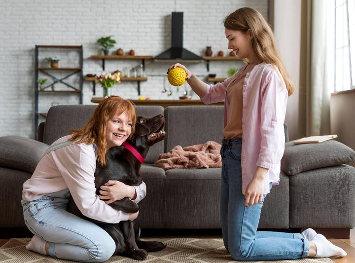 Best Pet Toys For Happy Pets